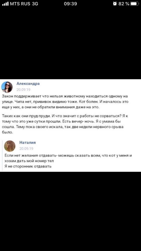 Помогите вернуть кота! Приют "Преданное сердце" украл кота и не отдает!
