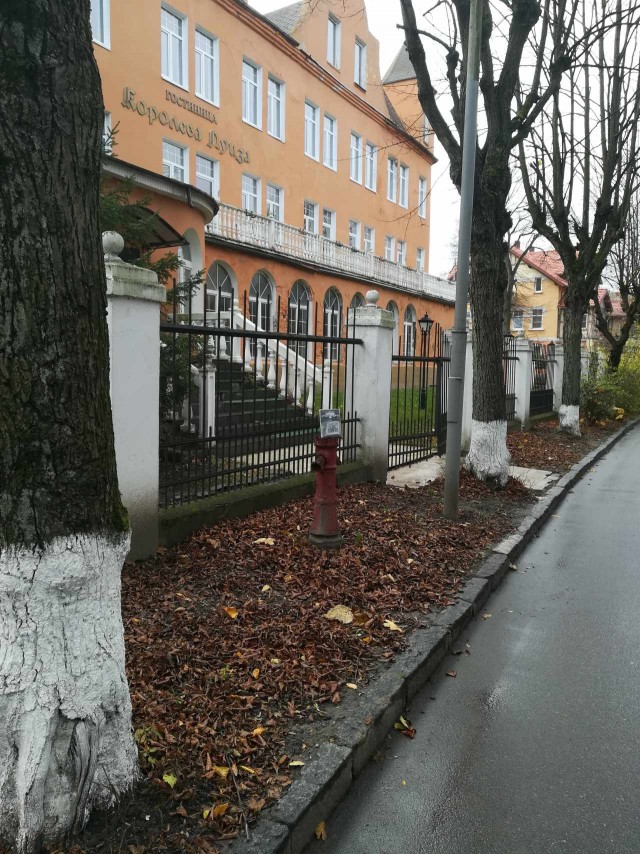 ЯП вокруг света. Германия, Австралия, Китай...