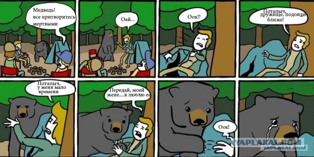 Если на вас напал медведь