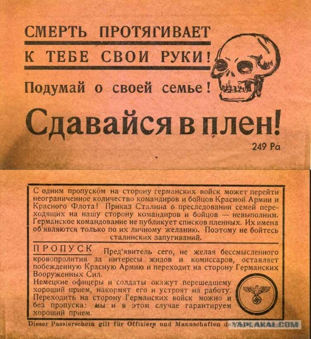 Жизнь в России глазами иностранца. Без купюр