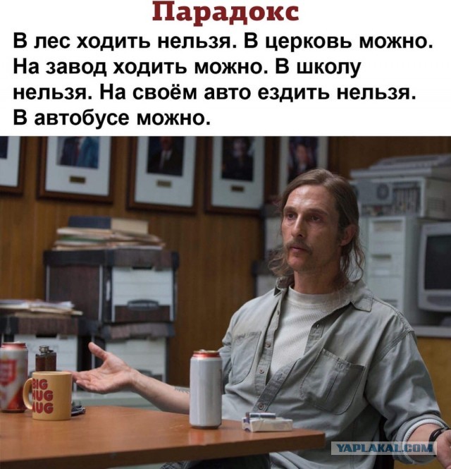 Теперь штрафы за прогулку без собаки стали законными
