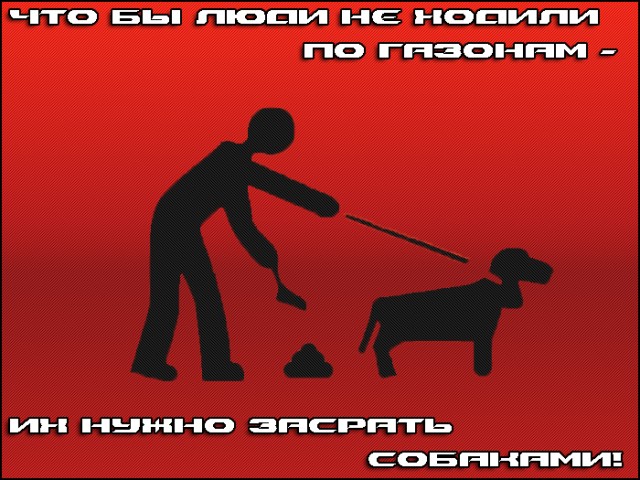 Фотожаба: Собака друг человека