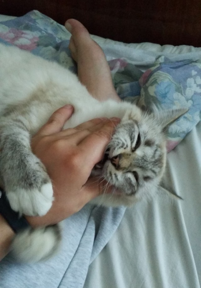 Люблю жену, но не хочу ее как женщину