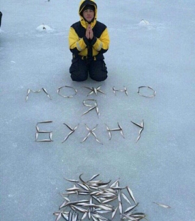 Чудики из социальных сетей 13.02.21