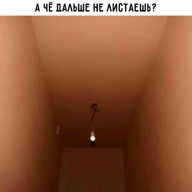 Весёлый полтишок 22.03