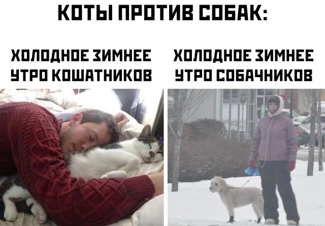Так себе картинки 08.10.21