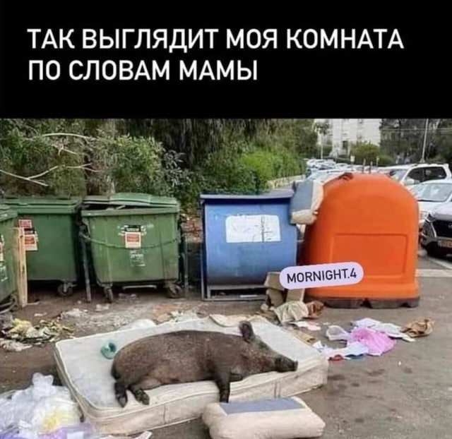 Очередная Хня вам в ленту, дорогие деграданты