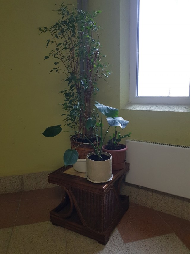 Рукоделие