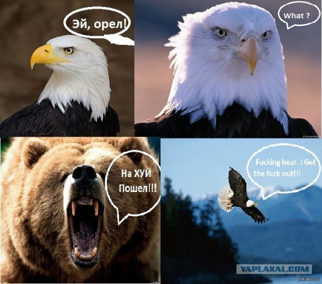 Солдат неудачи