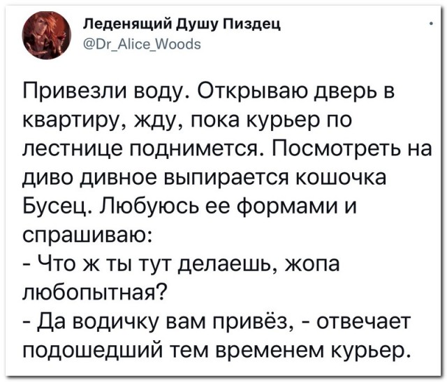 Забавные комментарии из социальных сетей 28.03.22