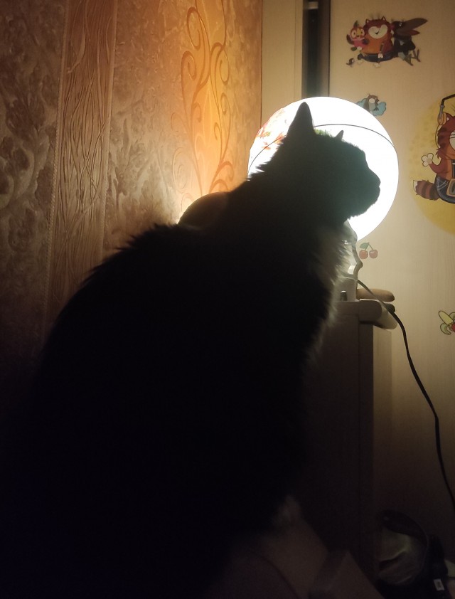 Вариант кота с лампой