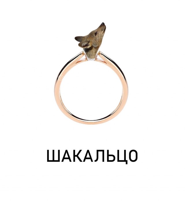 Все, что нужно, для успешной Деградации человека