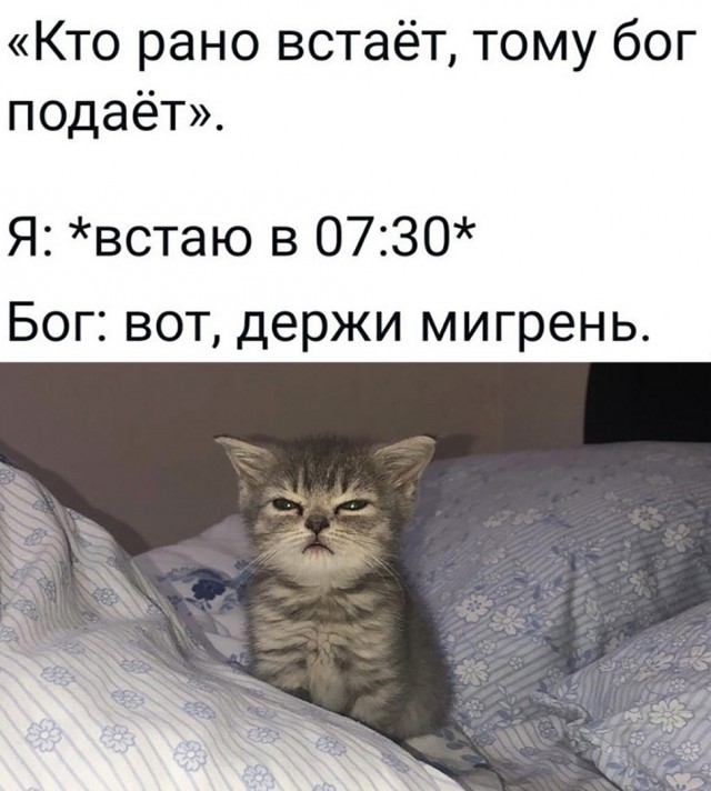 Так себе картинки 01.05.22
