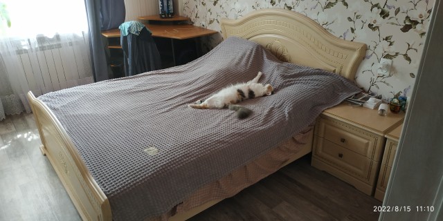 Знакомьтесь, Грргалгрр