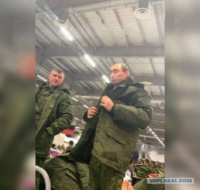 Путина тоже мобилизовали?