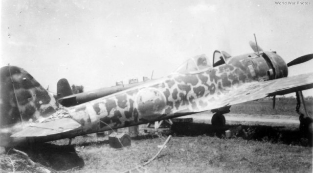 Ki-43 Hayabusa (式戦闘機 隼 ). Сокол-самурай