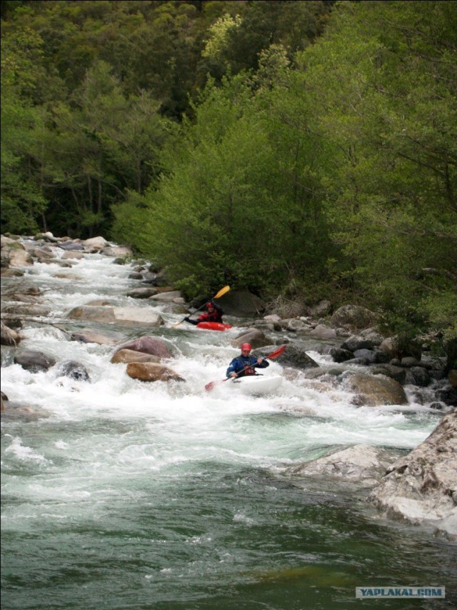 Франция. Корсика.