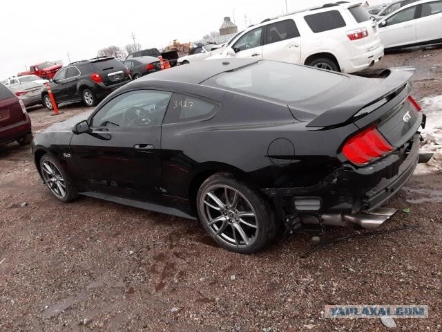 Белорус ввёз 5-литровый Ford Mustang и оформил его на женщину, но та передумала отдавать машину