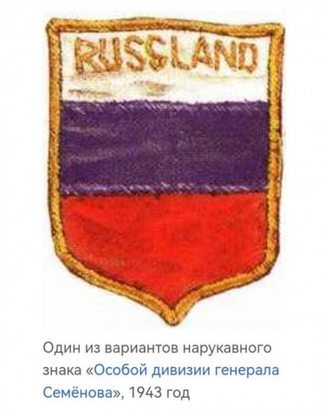Баннеры, отлов собак и пропавший губернатор. Волгоград готовится к приезду президента