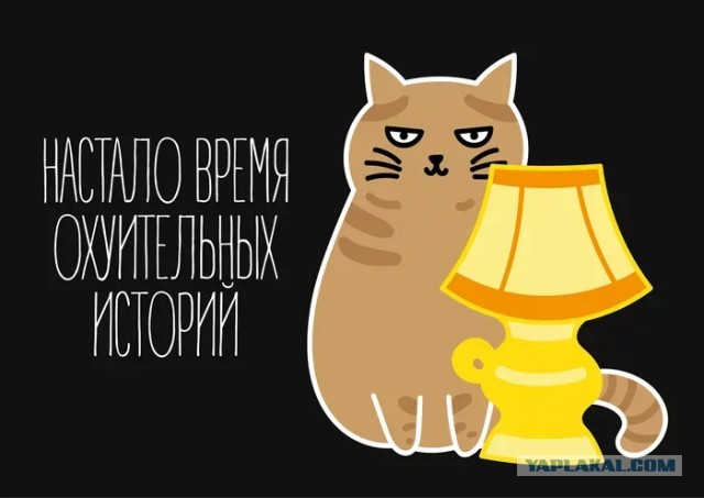 Китайцы завалили Россию дешевыми экскаваторами