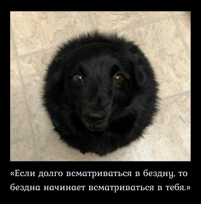 Сверхпушистая чёрная дыра⁠⁠