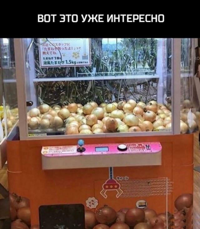 Немного картинок 07.05.23