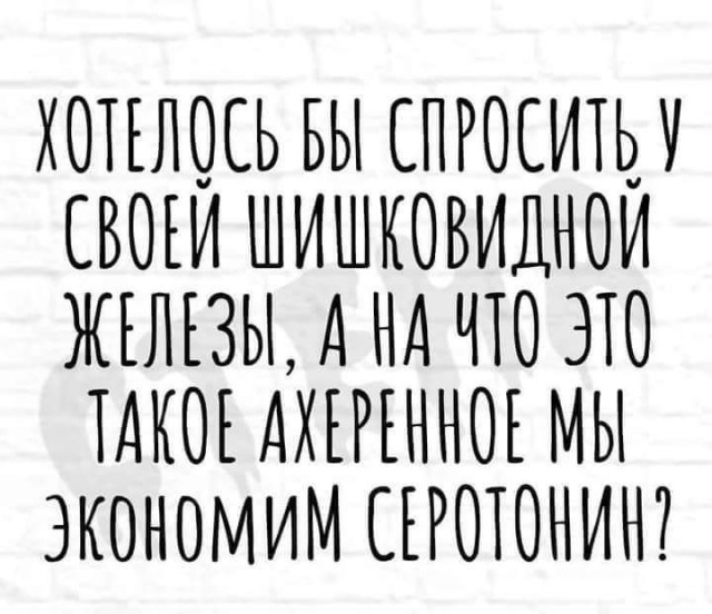 Баяны и не совсем. Понедельничное