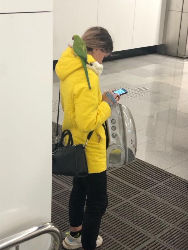 Модные и странные личности из московского метрополитена