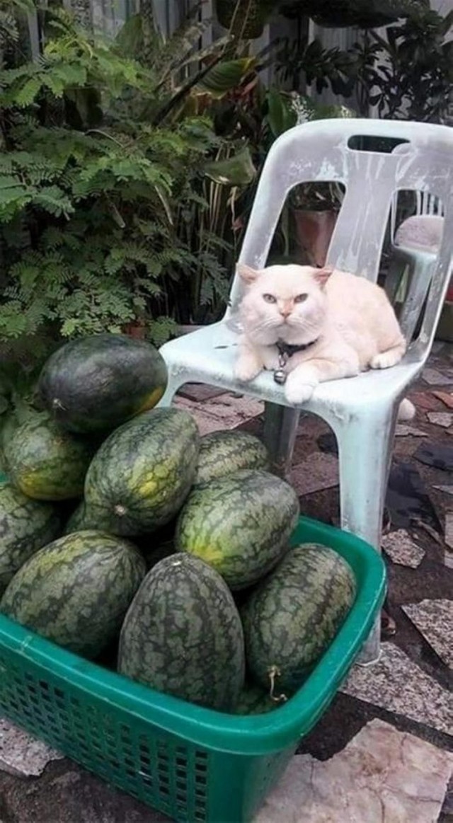 ПяТниЦоО!