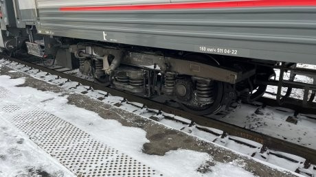 В Пензенскую область приедут более 700 белгородских детей