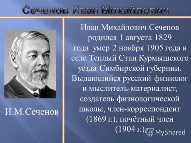Беда пришла откуда не ждали