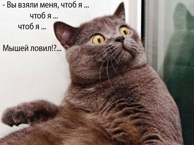 Так себе картинки 07.05.24