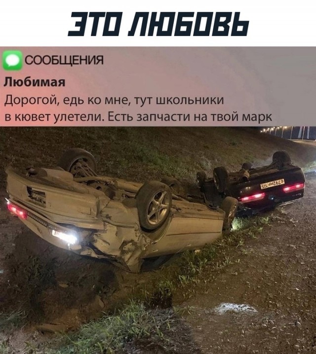 Весёлый полтишок 22.11.24