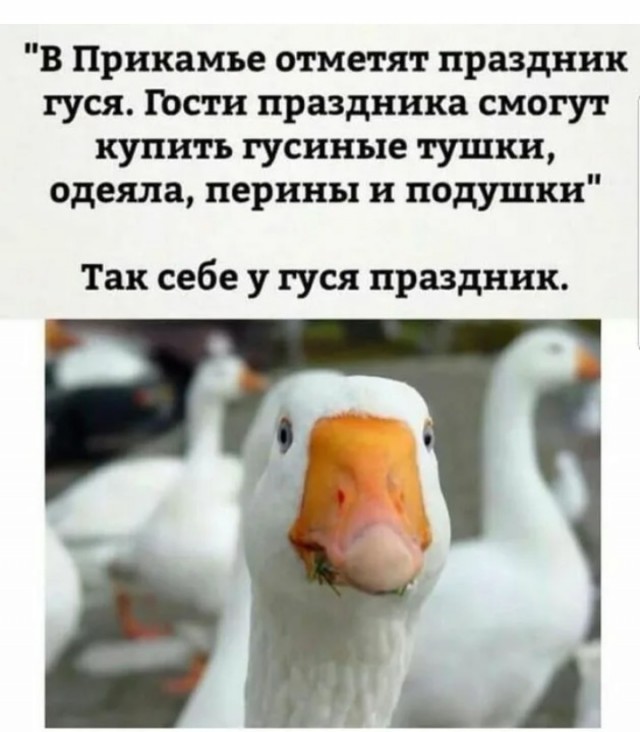 Опрос. Ваше эмоциональное состояние сейчас?