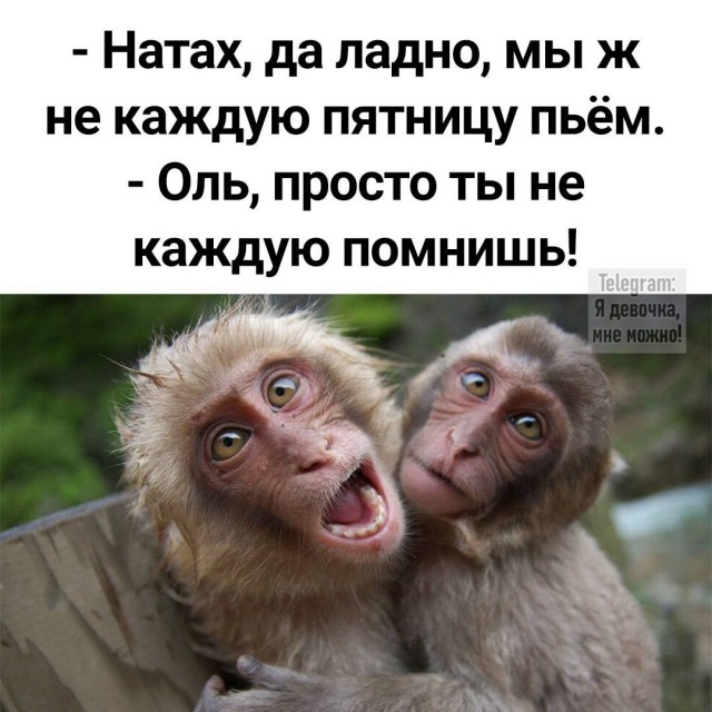 Картинков вам разных.