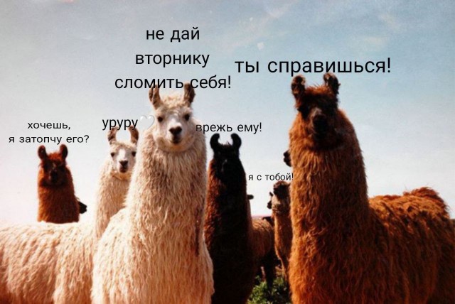 Поддержка от лохматых