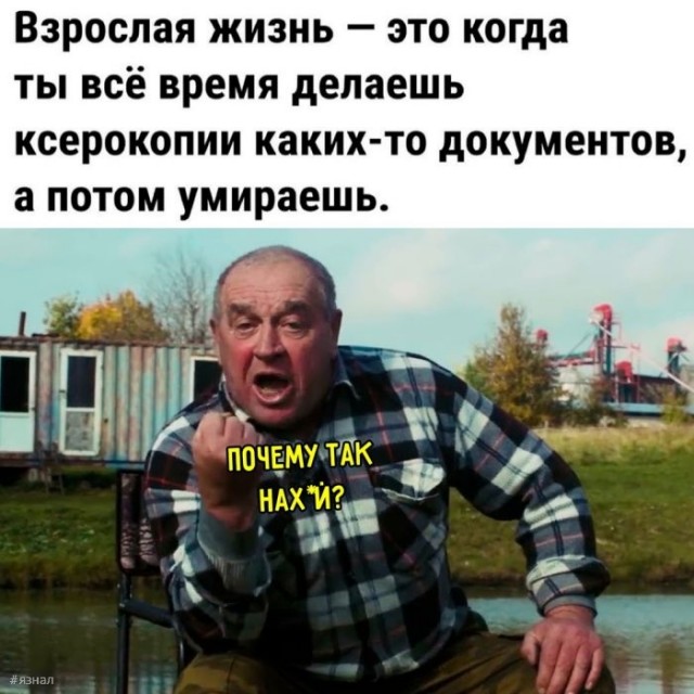 Веселые картинки в маленькую пятницу (19.02)