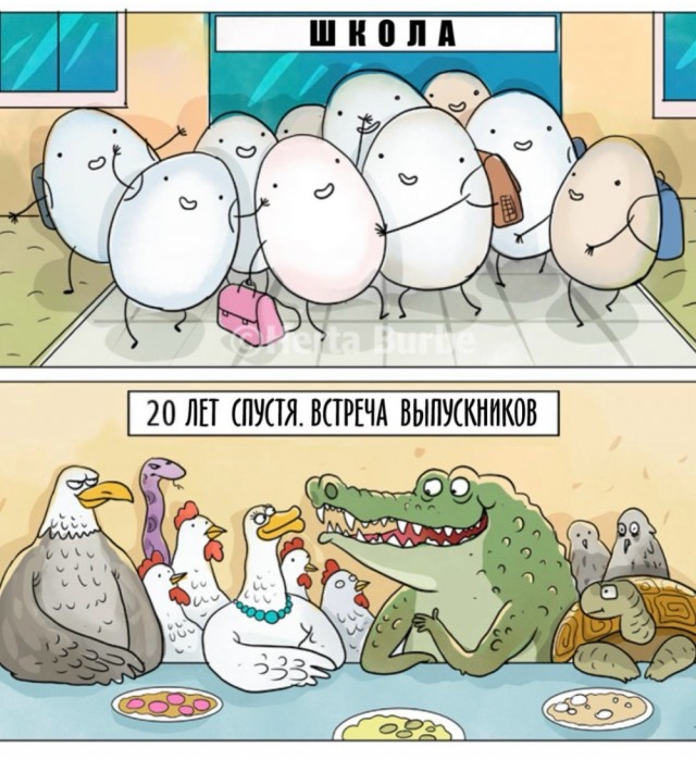 Образование — путёвка в жизнь!