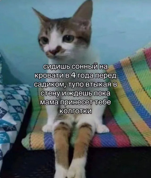 Помню, как вчера