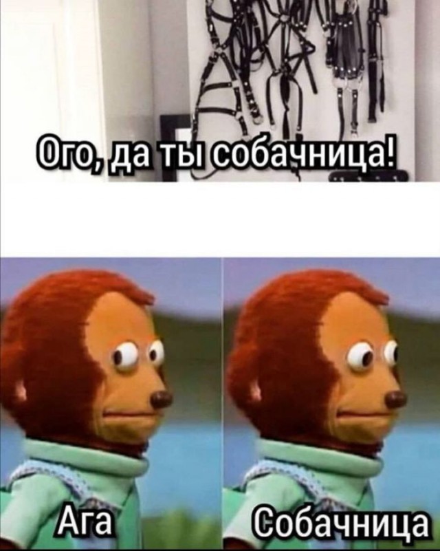 20259113.jpg
