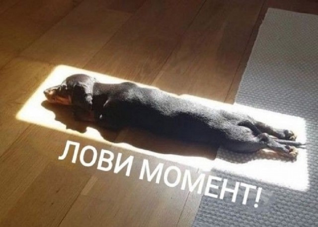 Так себе картинки 29.08.25