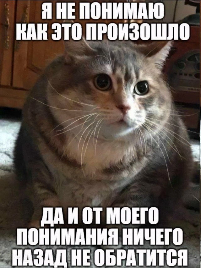 Воскресное боянистое