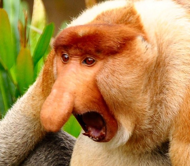 Продавать спреи для носа только по рецепту хотят в России