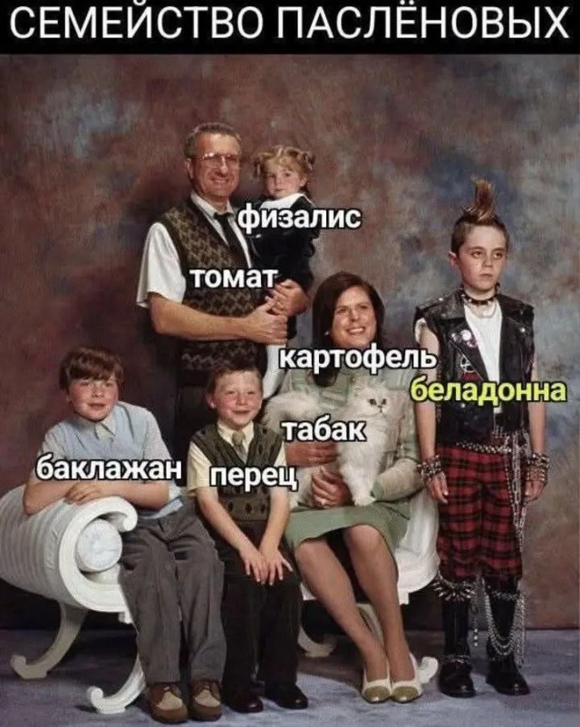 Среда обитания 0.2