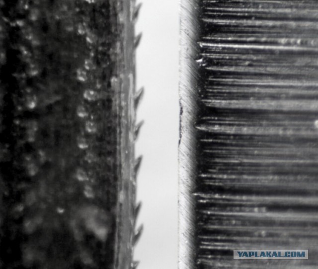 Как правильно точить ножи