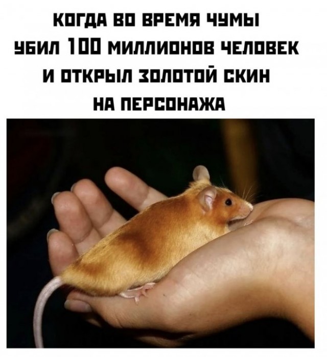 Веселые картинки в понедельник (08.01)
