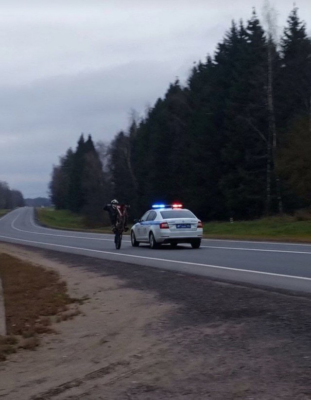 В Подмосковье Госавтоинспекторы в ходе рейдов выявили участников опасных заездов на питбайках