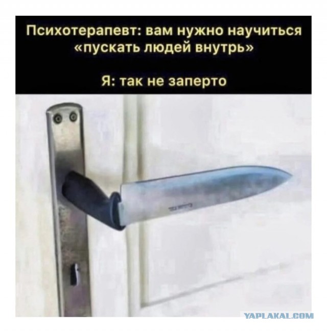 Так себе картинки 29.12.25