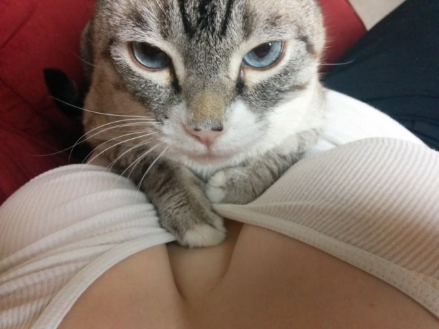 Картиночки разные