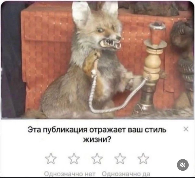 Картинки для деградации 148 (разной степени свежести)